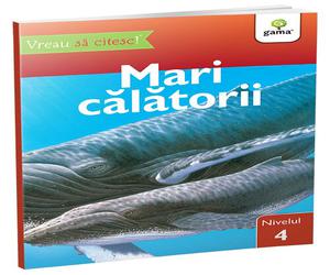 Mari calatorii • nivelul 4